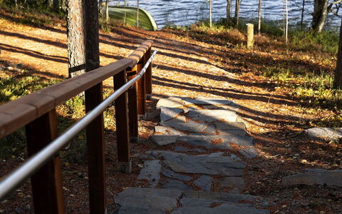 Villa Käpytikka: Hoja, Madera, El Maletero, Luz De Sol, Bosque, Bosque, Pasarela, Otoño, Arboleda, Apuntalar