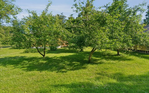 Lennart - 4Km from the Sea: Azul, Arbusto, Cabaña, Cobertura Del Suelo, Jardín, Inmuebles, Sombra, Paisajismo, Casa De Campo, Eco Hotel