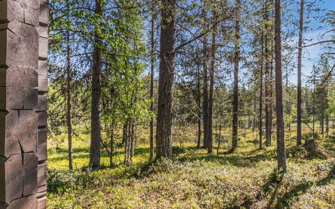 Metsäntupa: Madera, Casa, Nieve, Cabaña, Casa, Invierno, Techo, Congelación, Vía Muerta, Pendiente