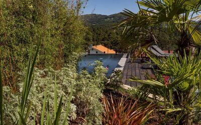 Rio Lima Retreat