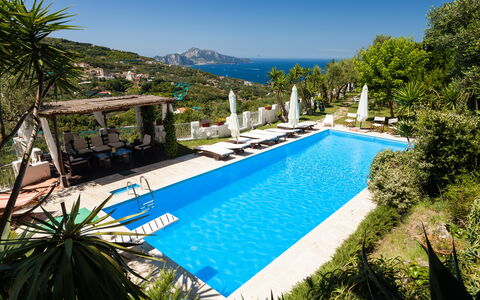 Villa Il Sole Di Sorrento: Agua, Planta, Cielo, Propiedad, Piscina, Azur, Árbol, Botánica, Vegetación, Arecales