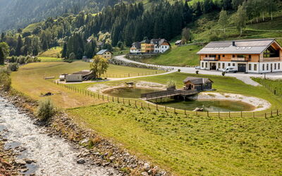Stein an der Enns 614