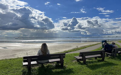 De Schelde