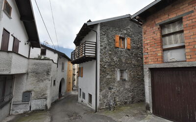 Dubino Home
