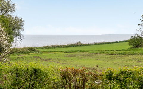 Venla - 150M from the Sea: Azul, Verde, Hierba, Paisaje Natural, Vegetación, Pradera, Horizonte, Verano, Ecorregión, Mar
