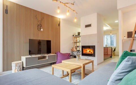 Klinovec Meadows Residence: Mueble, Diseño De Interiores, Piso, Suelo, Pared, Habitación, Madera, Techo, Lámpara, Sala