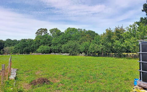 Ty Pjp: Árbol, Hierba, Verde, Pradera, Pasto, Llanura, El Terreno Del Lote, Campo, Nube, Área Rural