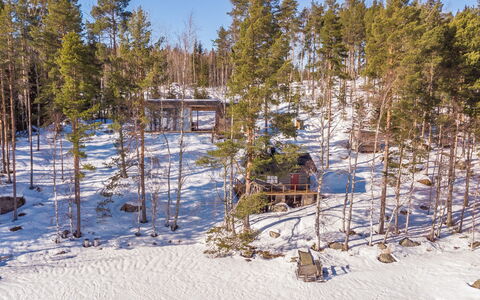 Villa Luoto: Árbol, Rama, Madera, Invierno, Nieve, Bosque, Congelación, Bosque, El Maletero