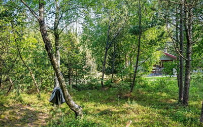 Yngvy - 1.3Km from the Sea