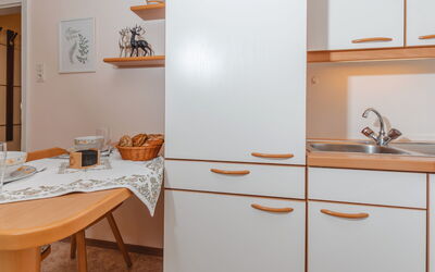 Alojamiento:&nbsp;Haus Kötschach 250.5