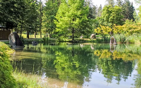Carli: Agua, Cuerpo De Agua, Árbol, Los Recursos Hídricos, Verde, Naturaleza, Entorno Natural, Paisaje Natural, Corriente De Agua, Reflexión
