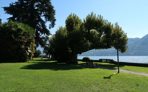 Regina 29: Hierba, Paisaje Natural, Paisaje, Césped, Banco Al Aire Libre, El Maletero, Jardín, Lago, Parque