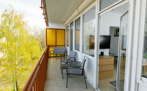 Zamardi 101: Edificio, Propiedad, Ventana, Porche, Planta, Madera, Mesa, Diseño De Interiores, Sombra, Casa