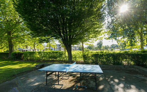 Zamardi 101: Planta, Mesa, Banco Al Aire Libre, Hoja, Paisaje Natural, Árbol, Sombra, Mueble Para Exteriores, Superficie De La Carretera, Rectángulo