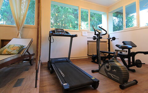 Catullo 18 Apartment, Garda Lake, Jacuzzi, Fitness: Propiedad, Maquina De Ejercicio, Ventana, Madera, Diseño De Interiores, Suelo, Piso, Madera Dura, Equipo De Ejercicio