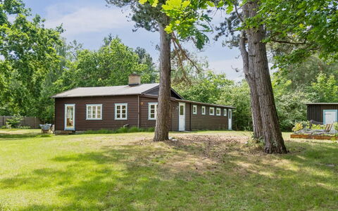 Heidl - 1.3Km to the Fjord: Madera, Techo, Arquitectura, Casa, Casa, Cabaña, Vía Muerta, Madera Dura, Pendiente, Inmuebles