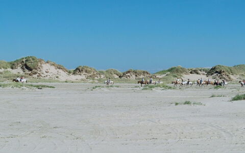 Hariet - 300M from the Sea: Cubrir Con Paja, Cabaña, Casa, Techo, Casa, Casa De Campo, \Choza, Inmuebles, Pueblo