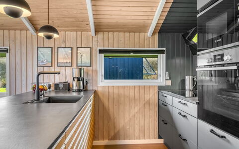 Ofrath - 350M to the Fjord: Madera, Cocina, Techo, Electrodoméstico, Aparato De Cocina, Mostrador, Electrodoméstico, Lámpara, Manchas De Madera, Madera Dura