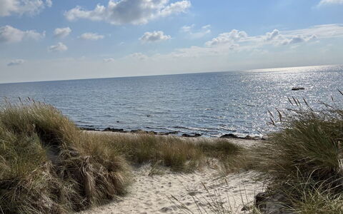 Ajla - 500M from the Sea: Mueble, Diseño De Interiores, Piso, Suelo, Techo, Habitación, Silla, Mesa, Departamento, Cocina Y Comedor Mesa