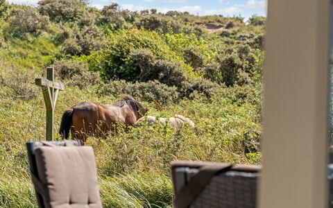 Senija - 334M from the Sea: Madera, Casa, Porche, Cubierta, Madera Dura, Techo, Manchas De Madera, Suelos De Madera, Eco Hotel