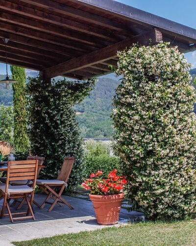Villa Gelsomino