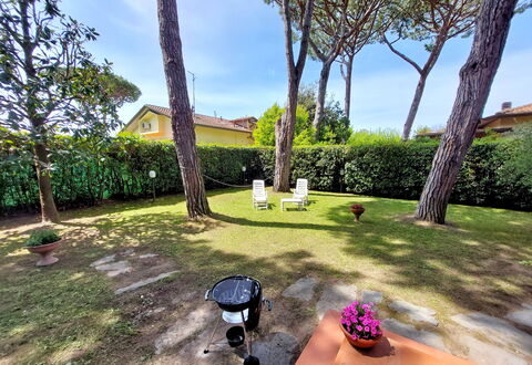 Casa La Pineta: Planta, Propiedad, Cielo, Maceta, Botánica, Árbol, Edificio, Nube, Hierba, Arecales