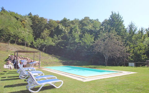 Casetta Verde: Planta, Cielo, Piscina, Mueble Para Exteriores, Sombra, El Terreno Del Lote, Silla, Árbol, Paisaje, Hierba