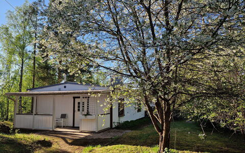 Villa Kataja: Madera, Cabaña, Manchas De Madera, Madera Dura, Cuarto De Troncos, Tablón, Techo, Material Natural, Maderas, Edificios Del Jardín