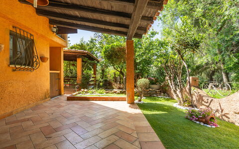 Cordolino Blu: Planta, Propiedad, Botánica, Árbol, Sombra, Edificio, Hierba, Paisaje, Bienes Raíces, Ocio