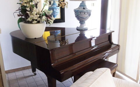 Villa Paradiso: Propiedad, Mueble, Planta, Blanco, Maceta, Diseño De Interiores, Madera, Comodidad, Piso, Suelo