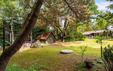 Jenvold - 1.5Km from the Sea: Árbol, Hoja, Hierba, Naturaleza, Rama, Arbusto, Jardín, El Terreno Del Lote, Área Rural, Cabaña