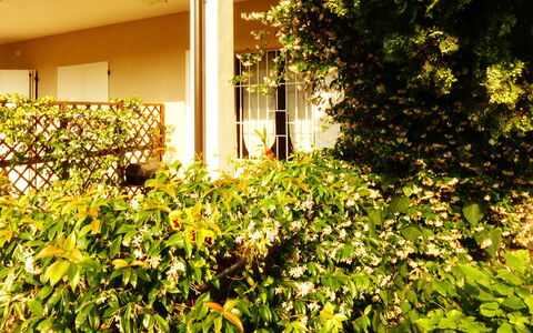 Casa Vacanze Sabrina: Planta, Edificio, Vegetación, Luz De Sol, Plantas Leñosas, Cobertura Del Suelo, Hierba, Tintes Y Sombras, Arbusto, Paisaje Natural