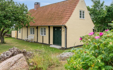 Øde - 100M from the Sea: Hierba, Pradera, Paisaje, Ecorregión, Llanura, Planta De La Comunidad, El Terreno Del Lote, Mueble Para Exteriores, Pradera, Shrubland