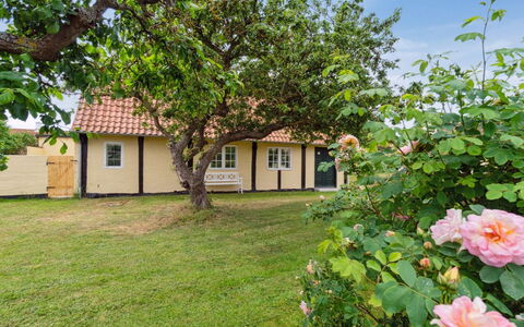 Øde - 100M from the Sea: Hierba, Pradera, Paisaje, Ecorregión, Llanura, Planta De La Comunidad, El Terreno Del Lote, Mueble Para Exteriores, Pradera, Shrubland