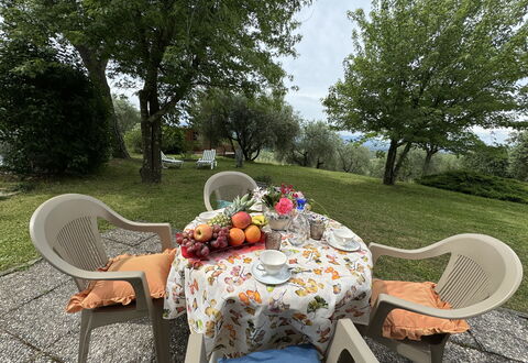 Pinocchio: Mesa, Planta, Mueble, Propiedad, Silla, Mesa Al Aire Libre, Vajilla, Árbol, Mueble Para Exteriores, Paisaje Natural