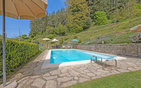 La Montana: Agua, Planta, Piscina, Azur, Sombra, Árbol, Mueble Para Exteriores, Edificio, Rectángulo, Paraguas