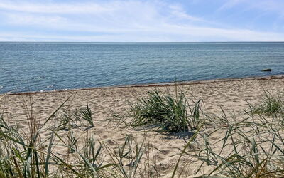Freija - 800M from the Sea