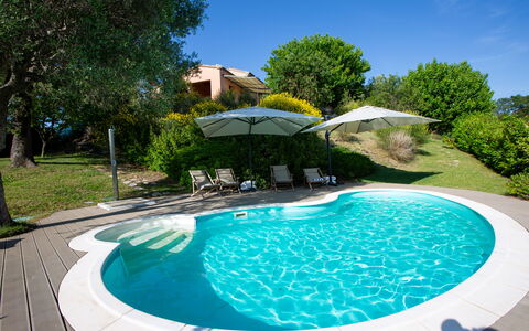 Villa Gelso: Agua, Planta, Propiedad, Cielo, Piscina, Azur, Árbol, Naturaleza, Mueble Para Exteriores, Cuerpo De Agua