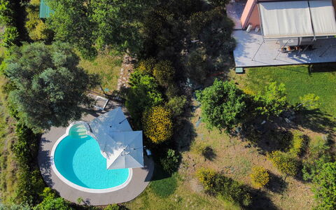 Villa Gelso: Planta, Propiedad, Planta De La Comunidad, Azur, El Terreno Del Lote, Biome, Hierba, Diseño Urbano, Ocio, Paisaje