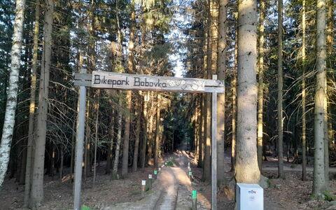 Desná V Jizerských Horách 841: Planta, Paisaje Natural, Madera, El Maletero, Biome, Vía Pública, Árbol, Planta Terrestre, Paisaje, Caduco