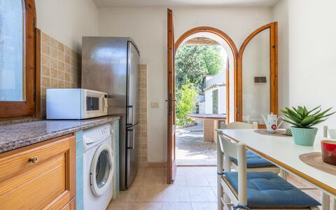 Approdo: Planta, Gabinetes, Propiedad, Mostrador, Mueble, Planta De Casa, Maceta, Mesa, Aparato De Cocina, Madera