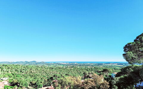 Panoramic: Cielo, Planta De La Comunidad, Planta, Costeras Y Los Accidentes Geográficos Oceánico, Paisaje Natural, Árbol, Horizonte, Hierba, Arecales, Paisaje