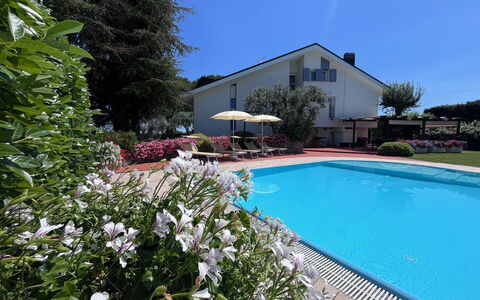 Villapronti: Agua, Planta, Flor, Propiedad, Edificio, Cielo, Piscina, Árbol, Silla, Casa