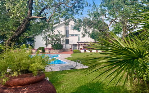 Villapronti: Planta, Edificio, Paisaje Natural, Árbol, Botánica, Maceta, Cielo, Arquitectura, El Terreno Del Lote, Vegetación