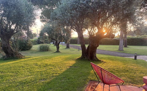 Villapronti: Planta, Atmósfera, Hoja, Paisaje Natural, Rama, Árbol, Vegetación, Hierba, Luz De Sol