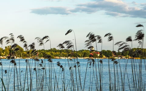 Bootshaus auf Dem See: Lago, Pantano, Reservorio, Reflexión