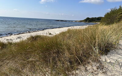 Eirik - 700M from the Sea