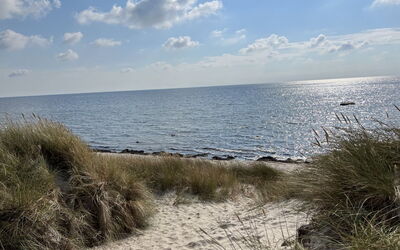 Eirik - 700M from the Sea