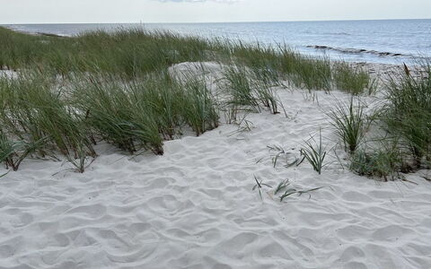 Sonya - 350M from the Sea: Entorno Natural, Arena, Playa, Apuntalar, Costa, Invierno, Nieve