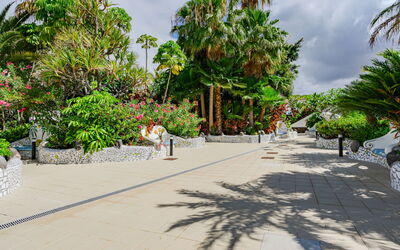 Costa del Silencio 603